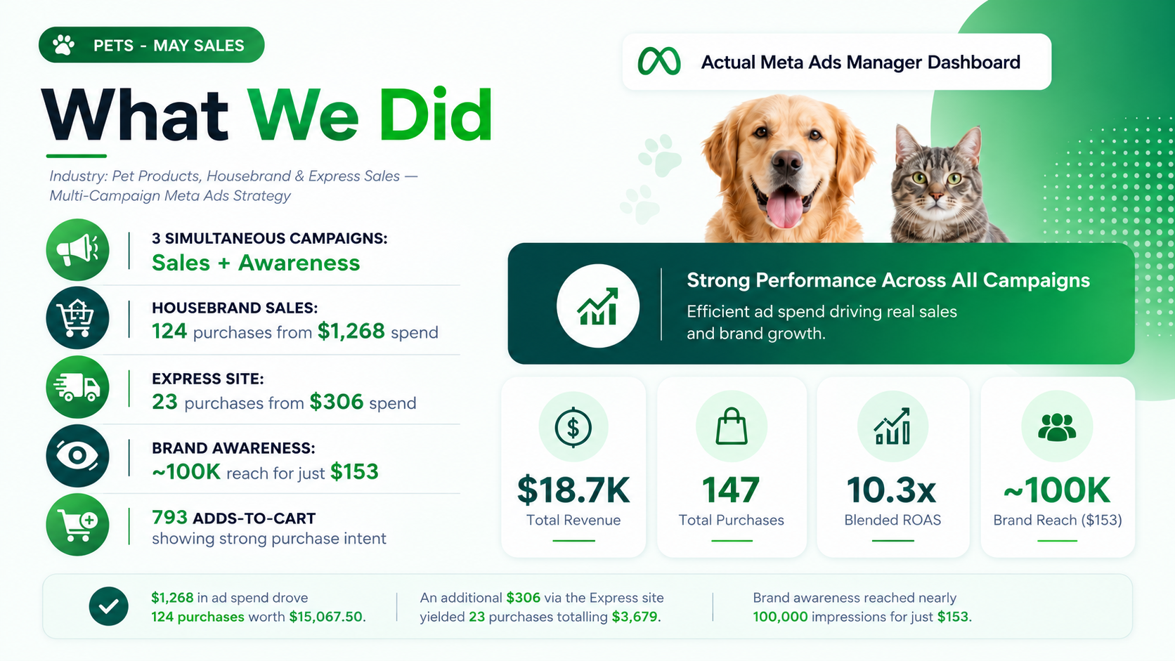 Facebook and Instagram Ads case study